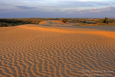 douglas dune